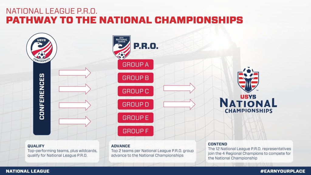 Professional Soccer Leagues